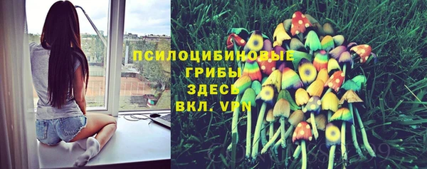прущая мука Вуктыл