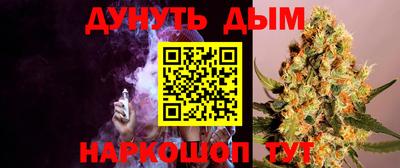 спиды Дубна