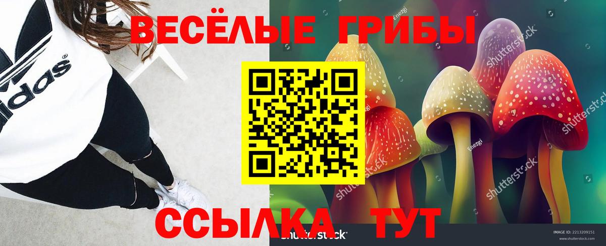 Галлюциногенные грибы мицелий Курчатов